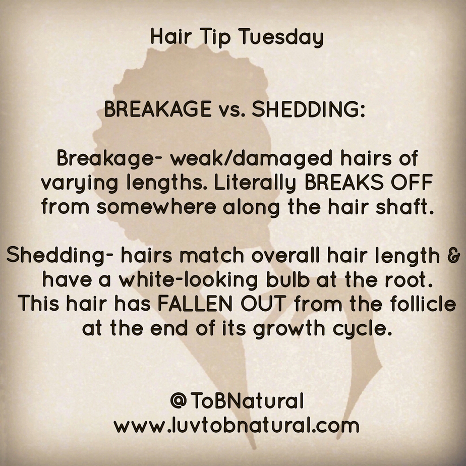 Hair Tip Tuesday: Breakage vs Shedding- Know the Difference – toia barry
