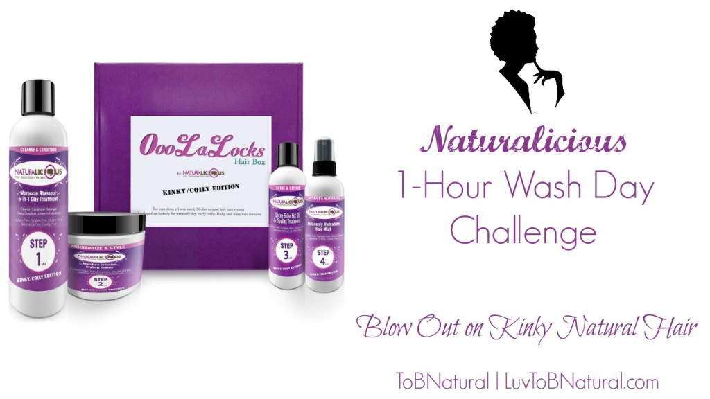 Naturalicious-1-Hour-Wash-Day