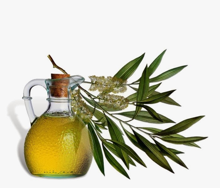 Essential Oils for hair health Tea Tree