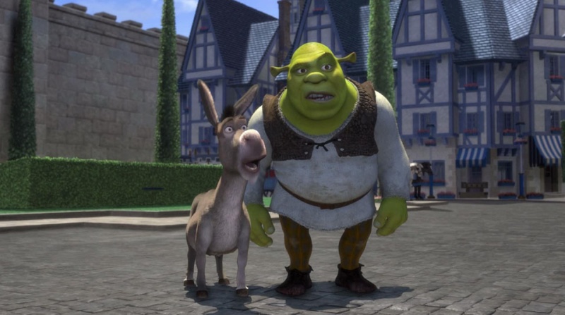 Shrek Donkey Confused