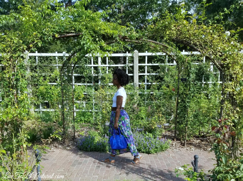 Things to do in Brooklyn before summer's out Botanic Garden 