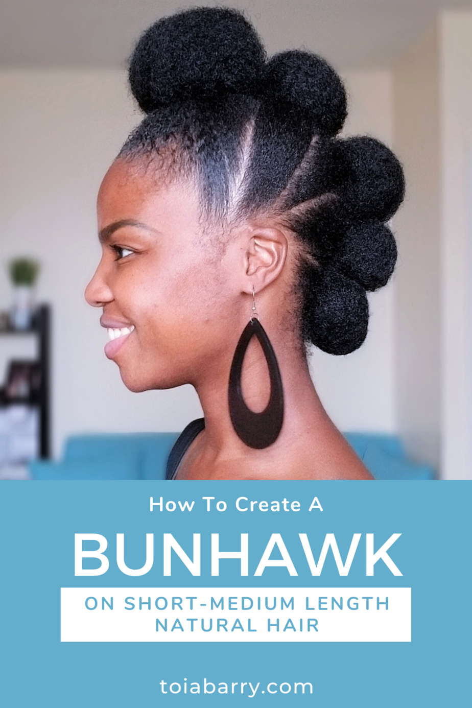 bunhawk pin toiabarry.com