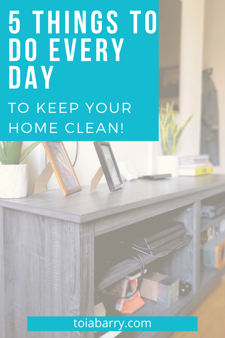 Keep Your Home Clean Pin